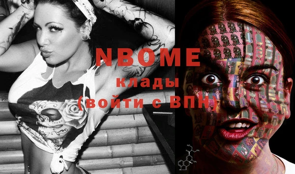 молекула духа Гусев