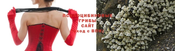 молекула духа Гусев