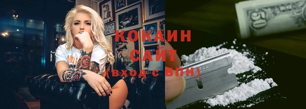 эйфоретик Гусь-Хрустальный