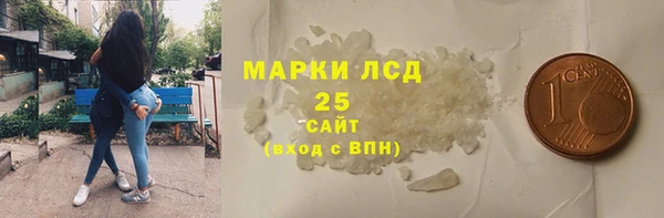 эйфоретик Гусь-Хрустальный