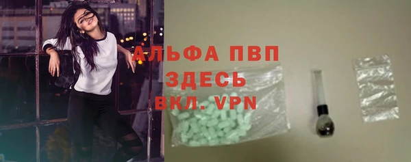 эйфоретик Гусь-Хрустальный