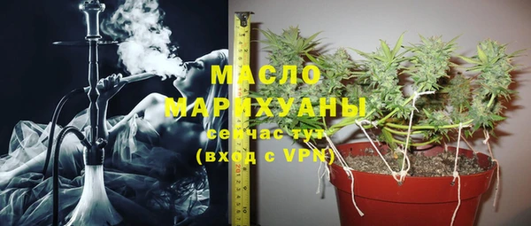 молекула духа Гусев