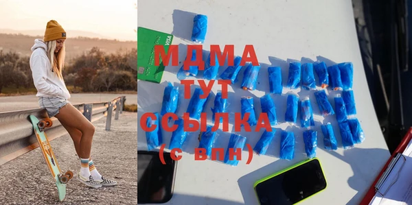 эйфоретик Гусь-Хрустальный