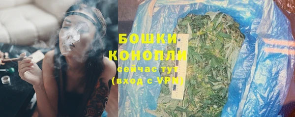 молекула духа Гусев
