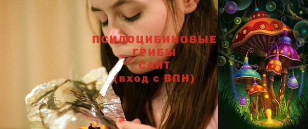мяу мяу мука Гусиноозёрск