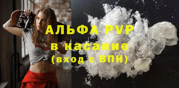 эйфоретик Гусь-Хрустальный